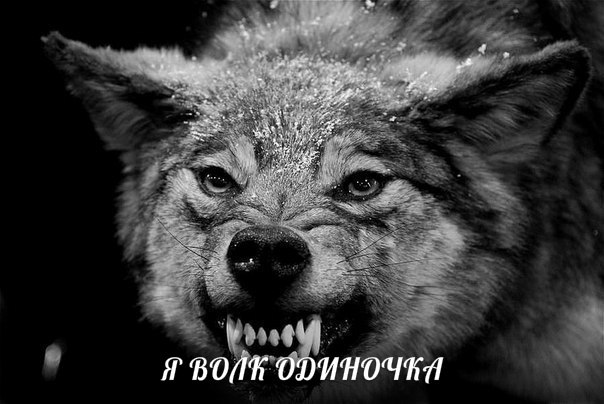 Грахма Коксон feat Бутырка - Я волк-одиночка