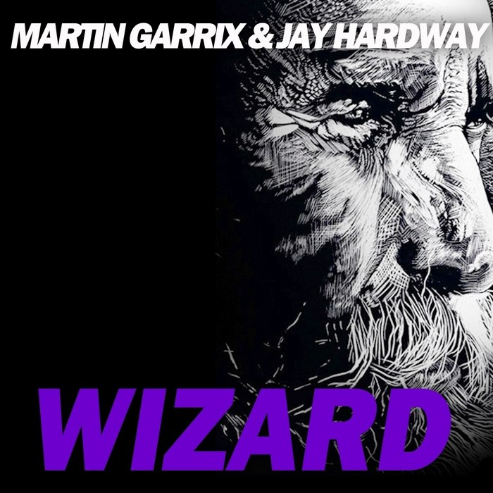 Martin Garrix & Jay Hardway - Wizard